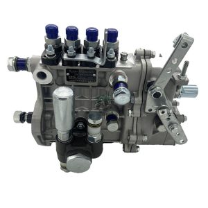 Genuine Kangda Fuel Injection Pump BH4Q80R8 4Q620 for Quanchai BQT4A Diesel Engine